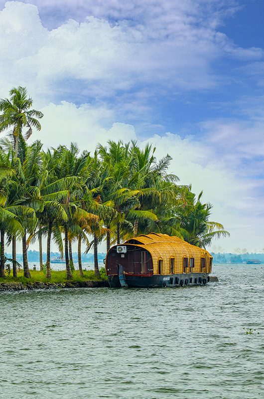 Alappuzha food