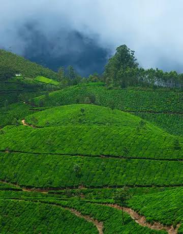 Idukki food