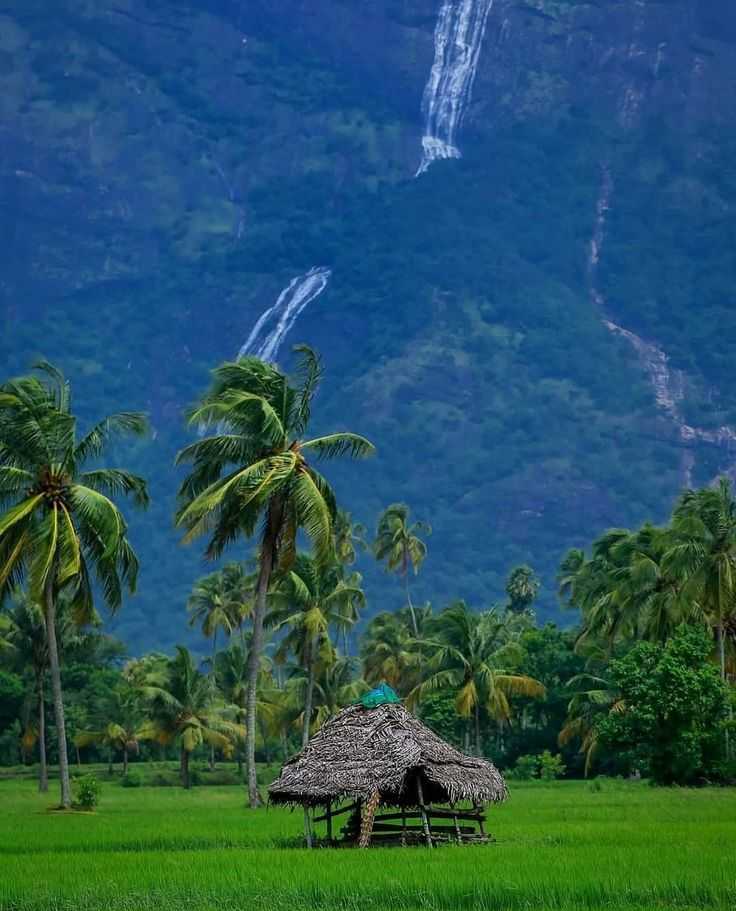 Palakkad food