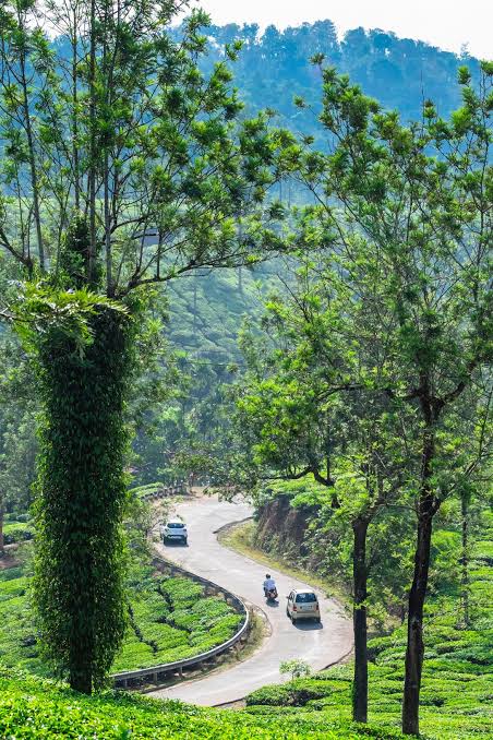 Wayanad food